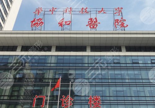 武漢乳房下垂醫(yī)院哪家好