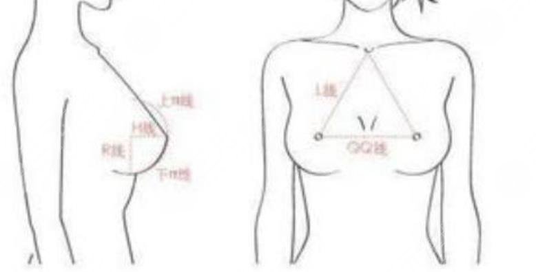 巨乳