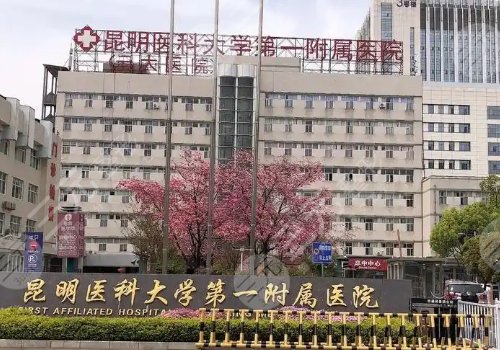 昆明吸脂隆胸整形醫(yī)院哪家好