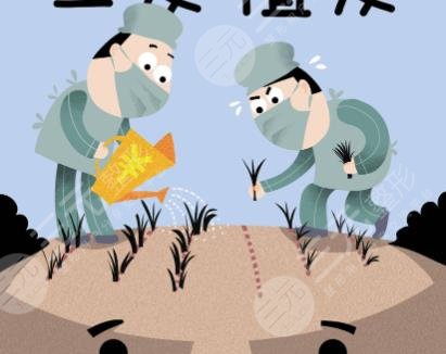 植發(fā)