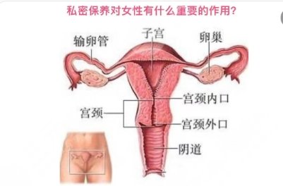 私密整形