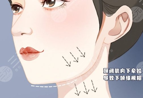 下頜