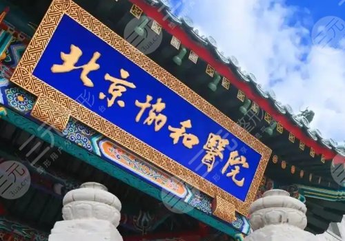 2025北京注射隆胸多少錢？2.5萬元起！協(xié)和、301醫(yī)院等技術(shù)測評！