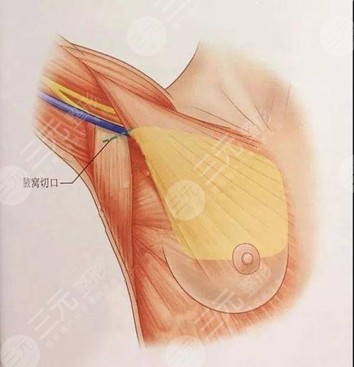 郝永生和唐毅誰厲害