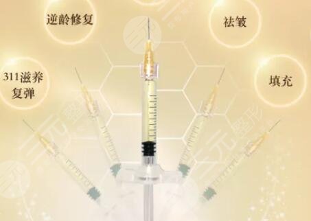 熊貓針