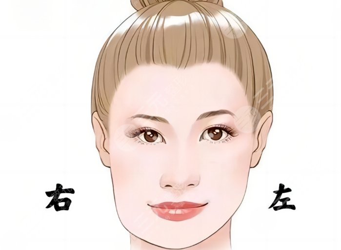 偏頜