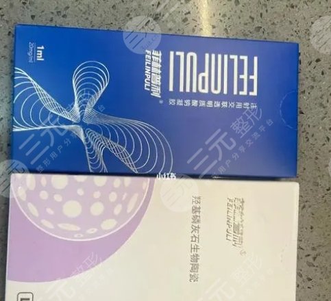 菲林普利