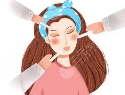 輪廓針