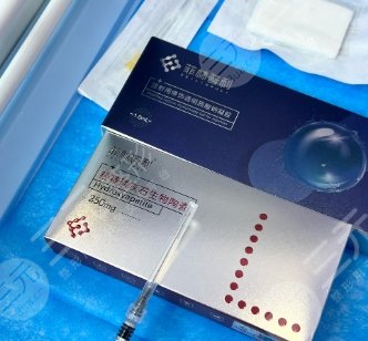 菲林普利L型