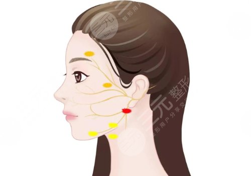 武漢樂享美顏熱瑪吉