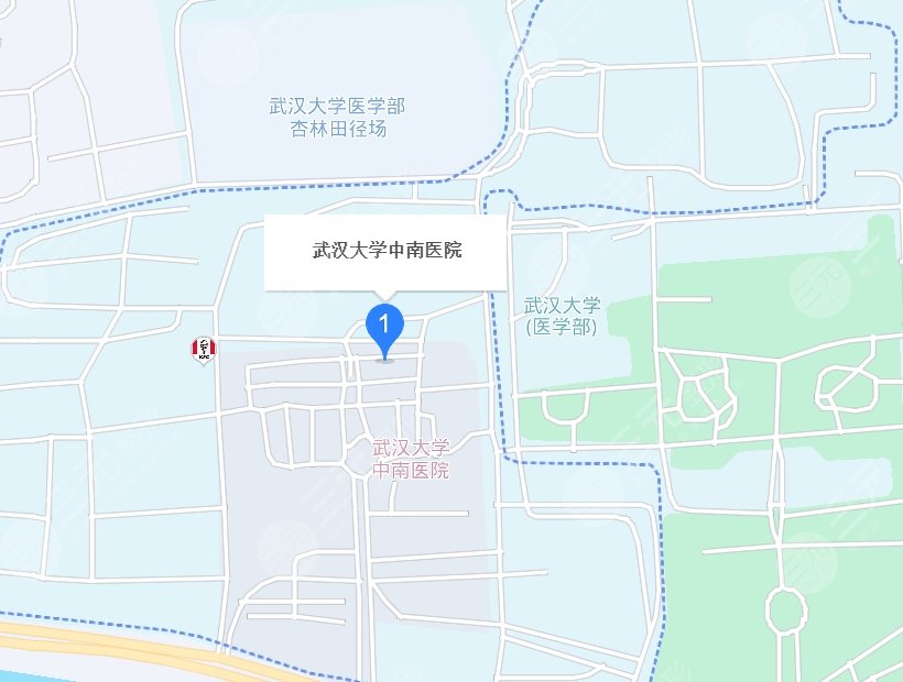 武漢大學中南醫(yī)院地址