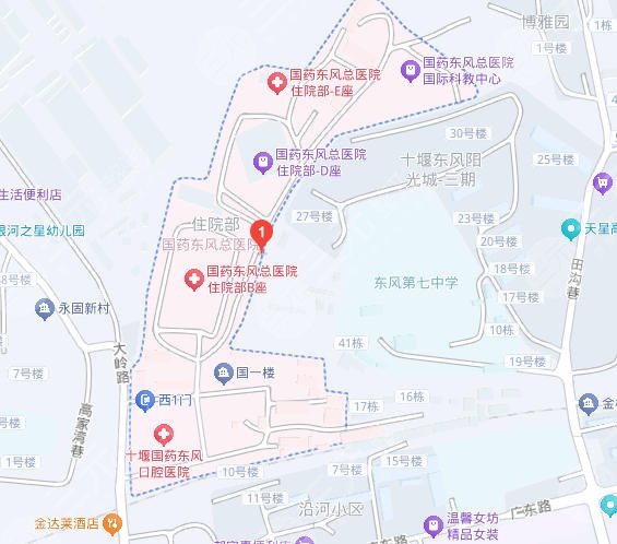 國藥東風總醫(yī)院地址